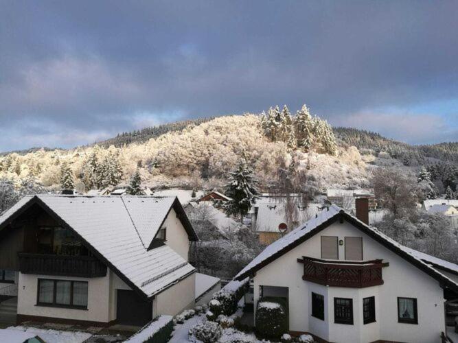 Spacious Flat In Adenau Near The N Rburgring المظهر الخارجي الصورة